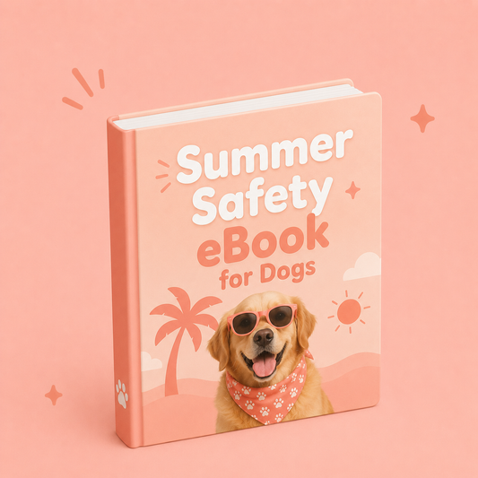 Summer Safety eBook for Dogs