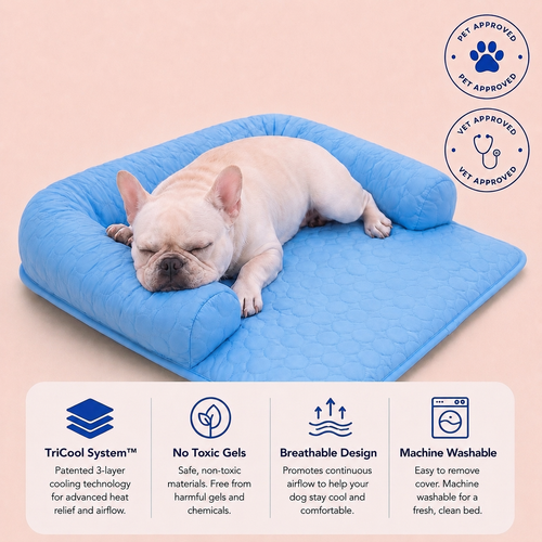 TempRelief™ Cooling Dog Bed
