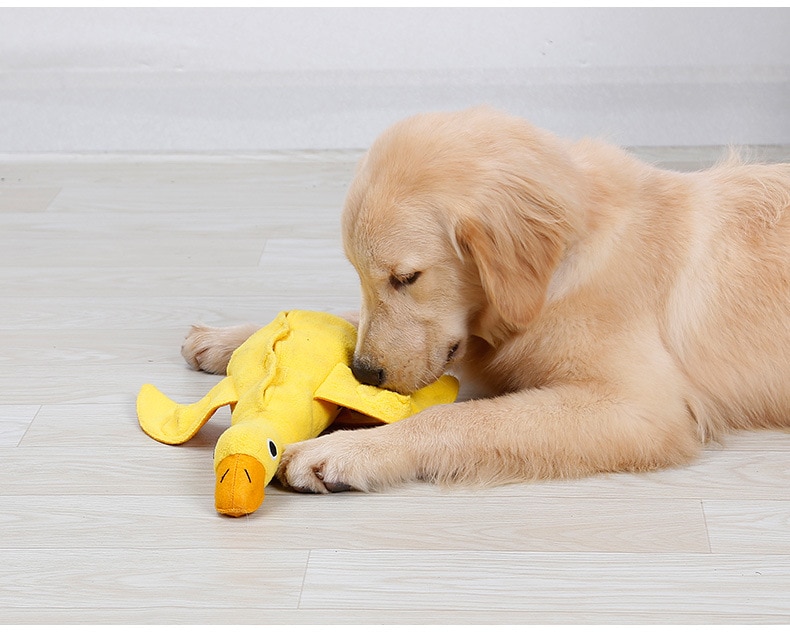 Interactive Pet Toys For Dogs