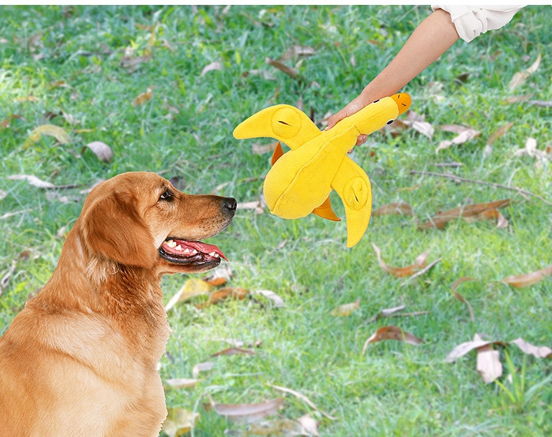 Interactive Pet Toys For Dogs